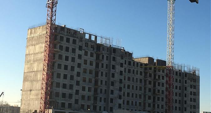 ЖК Березовая Аллея Квартирный контроль