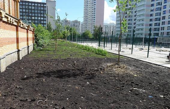 ЖК Орехово-Борисово - озеленение придомовой территории Корпуса 1 Квартирный контроль