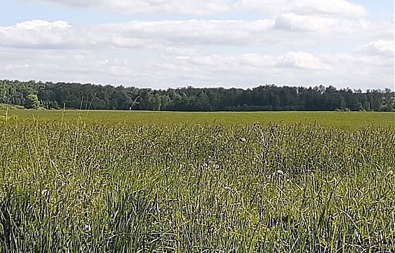 ЖК Новые Бережки, планируемое место строительства, вид с ул. Озерная, фото - 1 Квартирный контроль
