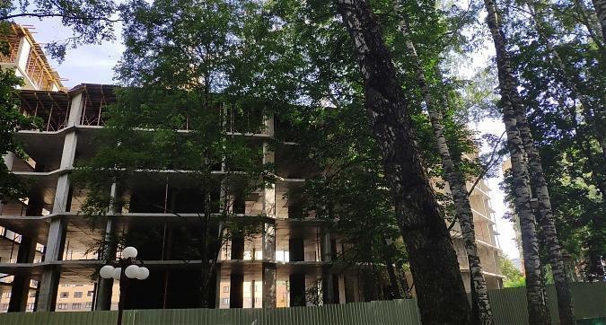 ЖК Дмитров Парк, вид из парка "Березовая роща", фото 5 Квартирный контроль