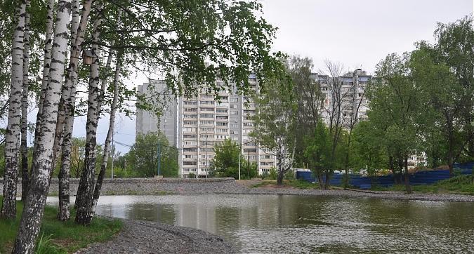 Вблизи жилого комплекса Цветочный город находится небольшой прудик Квартирный контроль