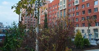 Квартирный контроль