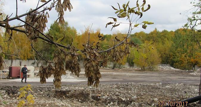 ЖК Лесопарковая - планируемое место строительства, вид со стороны метро Лесопарковая, фото 7 Квартирный контроль