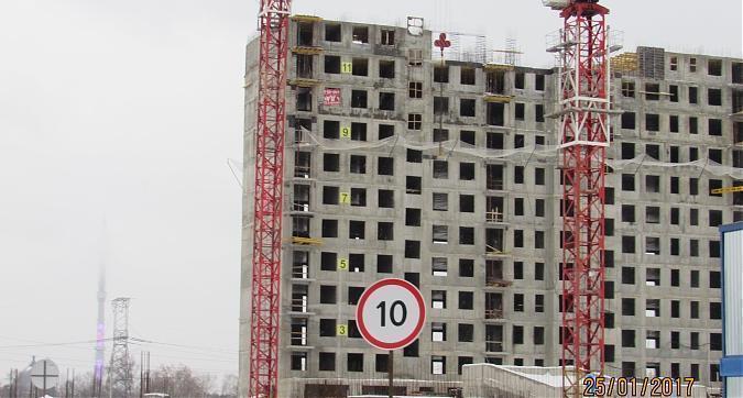 Строительство жилого комплекса Березовая Аллея Квартирный контроль