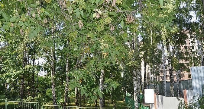 ЖК Горизонт Лес возле корпуса А Квартирный контроль