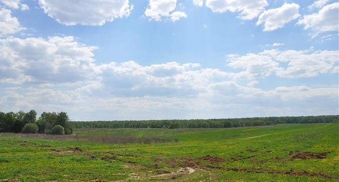Территория вокруг жилого комплекса Пригород Лесное Квартирный контроль