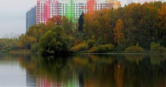  Квартирный контроль