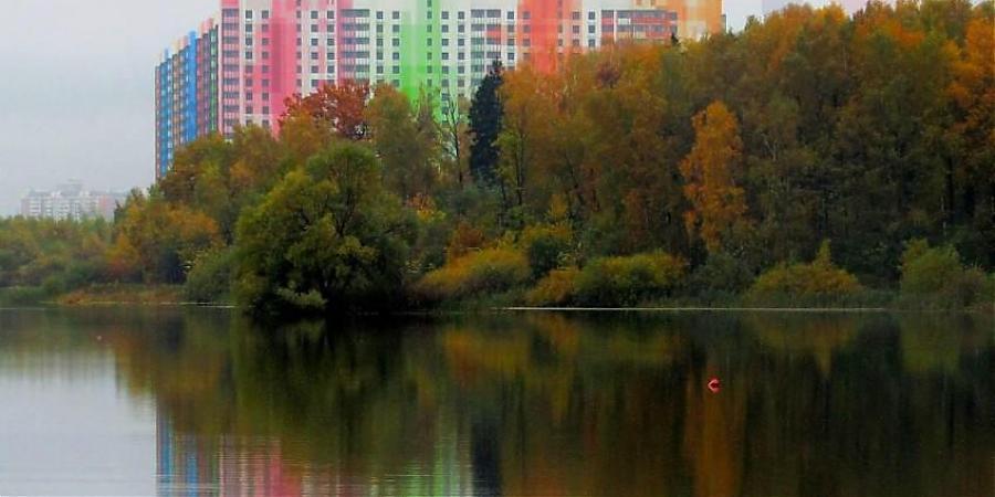  Квартирный контроль